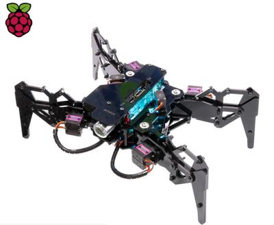挑戰樹莓派 RISC-V 微型計算機 PicoRio 發布與計算機軟硬件技術開發前瞻